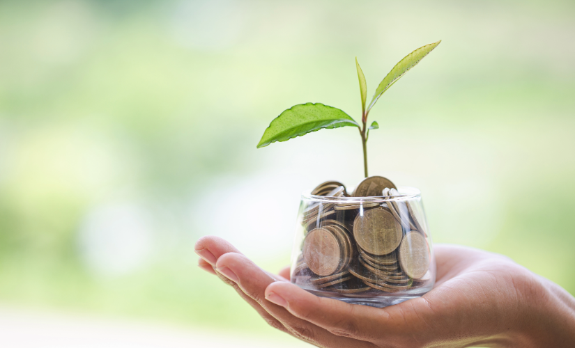 Thin plant growing out of jar with coins in it on top of a hand.